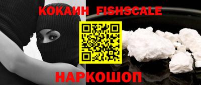 гидра Камышлов