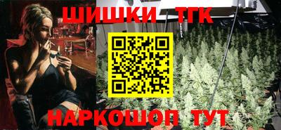 гидра Камышлов