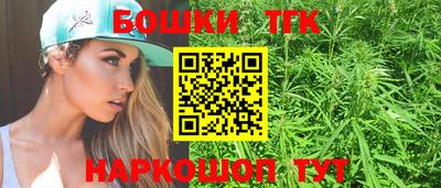 гидра Камышлов