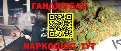 гидра Камышлов
