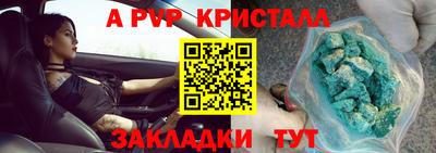 гидра Камышлов