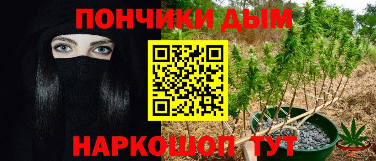 Каннабис конопля  МАРИХУАНА OG Kush  Владикавказ  Вход с VPN  Шишки марихуана конопля 